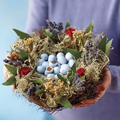 [TLL CCEE March 2010 Challenge Nest[3].jpg]