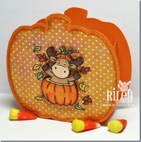 Riley-Pumpkin-Box-wm