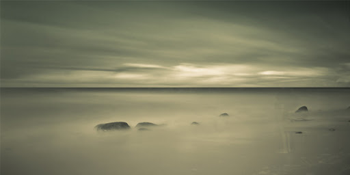 DELF's sample photo