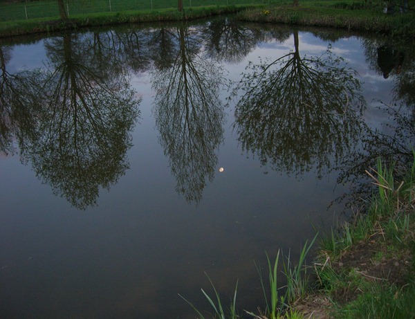 DSCN2221