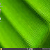 Top Sisteme de Operare Linux 2010 ... nivel incepatori OpenSUSE11 6Desktop Top Sisteme de Operare Linux 2010 ... nivel incepatori