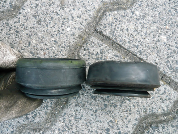 [Bild: P1020287.JPG]