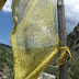 2943912649_83cb79ae1d_o.jpg, Paro, Bhutan, Travel Slideshow