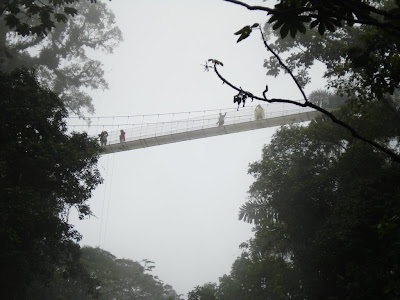 Just to give you an idea of how high up we would eventually be, I took this photo from one suspension bridge of the next highest one up.  So cool.