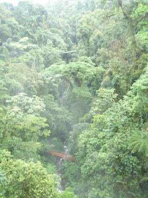A shot from our highest suspension bridge to one of the lower ones.  You can see the river flowing even significantly below that one.