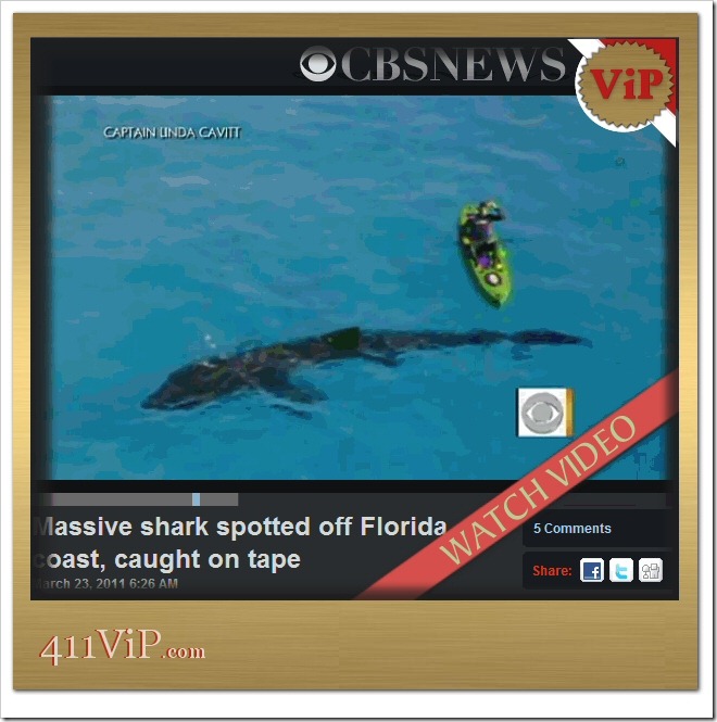 411vip-interesting-30-ft-shark-video 411vip-interesting-30-ft-shark-video