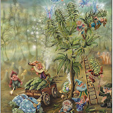 Fairytale creatures - Gnomes