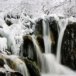 Photo Selection - 20101224