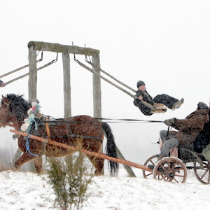 Photo Selection - 20101224