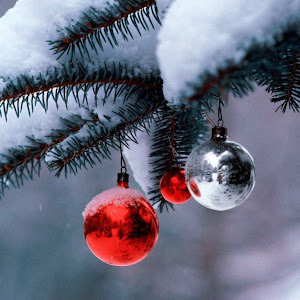Photo Selection - 20101224