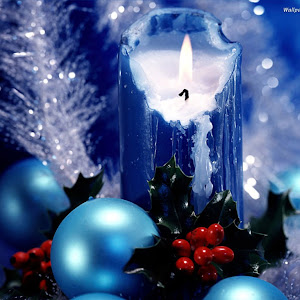 Photo Selection - 20101224