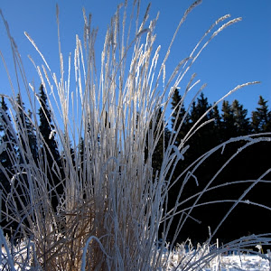 Photo Selection - 20101226