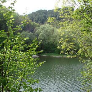 Photo Selection - 20110206