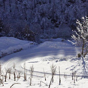 Photo Selection - 20110126
