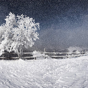 Photo Selection - 20110226