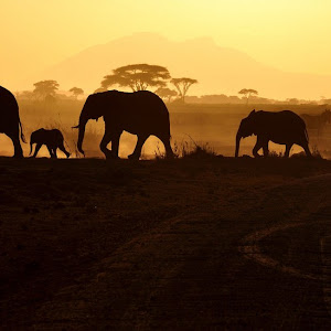 Photo Selection - 20110226