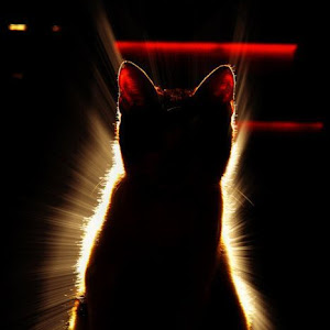 Photo Selection - 20110430
