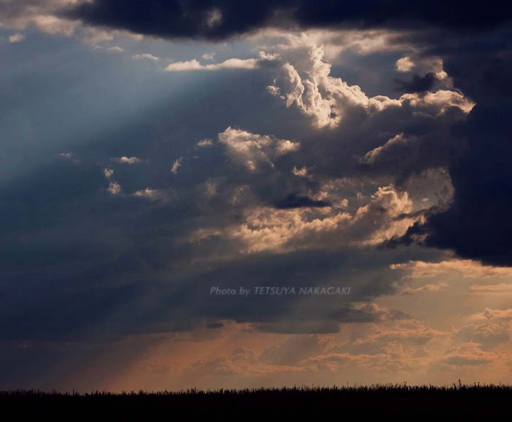 写真6 雲