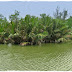 1.jpg, Our gateway to inundated Sundarban..., CYCLONE AILA