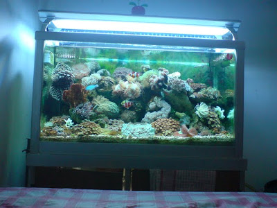 FTS.JPG
