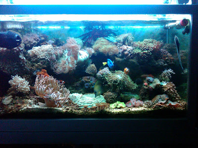 fts.jpg