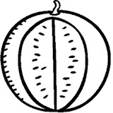 07 D