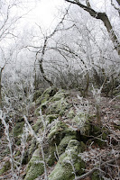 IMG_3826.JPG Photo