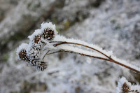Cergov_1570.jpg Photo