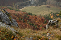 cierna_hora-holica-21.jpg Photo