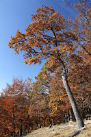 cierna_hora-boksov-16.jpg