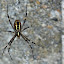 geocaching-biking_Laura-Komarno-14.jpg