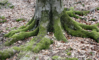 hrad_Slanec-03.jpg Photo hrad_Slanec-03.jpg Photo