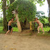 DSC04728.JPG