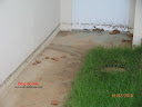 temporal_tnp_15-02-2010