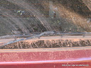 ferias2008