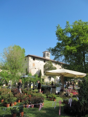 [IMG_21764.jpg]