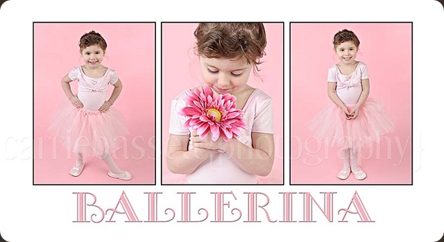 10x20 storyboard ballerina