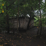Shack01b.jpg