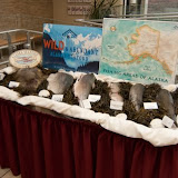 Wild Alaska Seafood Week