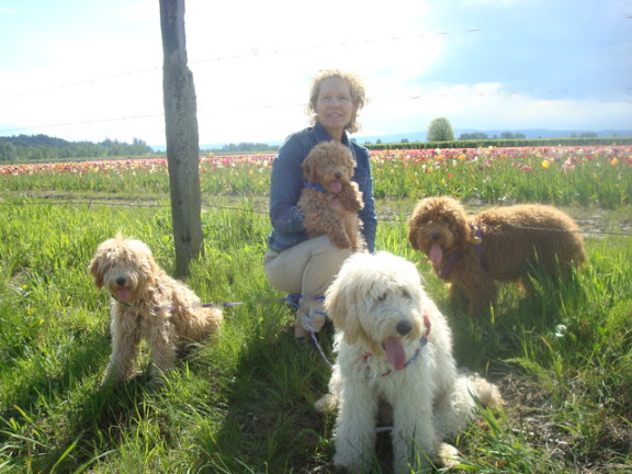 Melanie with Doodles<br />
on a Spring day walk