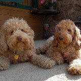 Sire Bodi &amp; Mama La'Nora