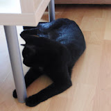 CIMG0244.JPG