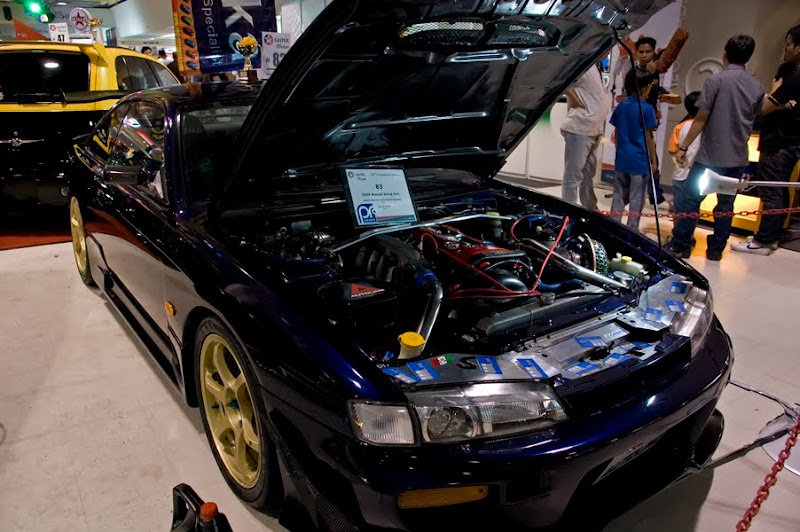 Meet Silvia