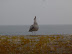 dsc03060.jpg