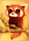 小浣熊.jpg