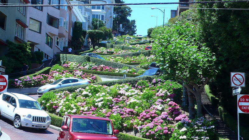 Lombard street on a sunny day