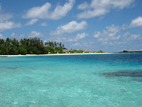 IMG_0300.jpg