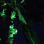 Interview Image Gallery Thumbnail