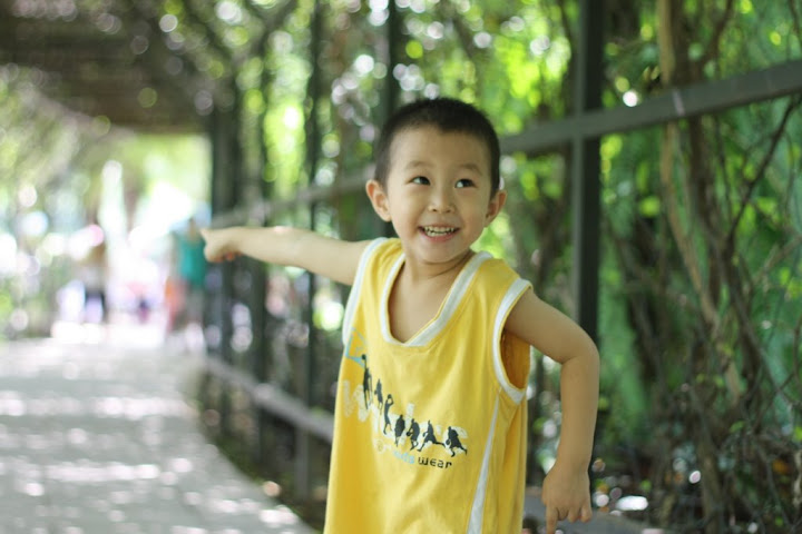 lianhuashan1