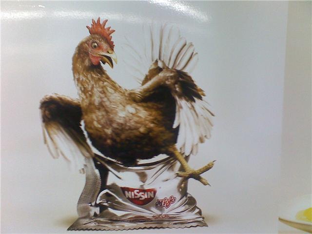 [galinha5.jpg]